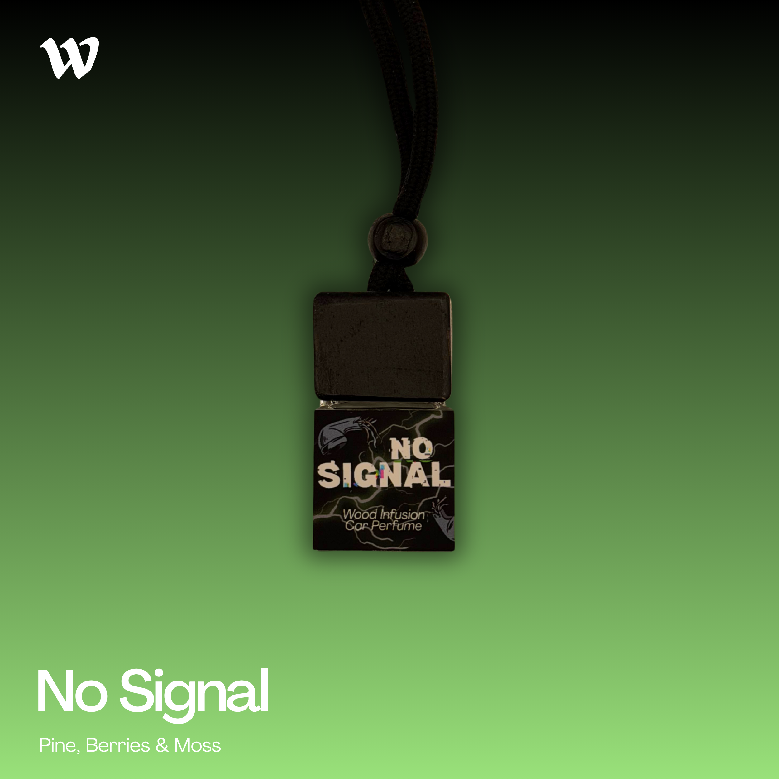 No Signal